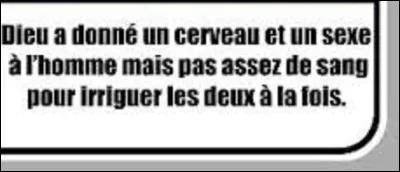 Et on termine ce quiz par une petite citation. Quel humoriste a dit : ''Dieu a donné un cerveau et un sexe à l'homme mais pas assez de sang pour irriguer les deux à la fois. '' ?