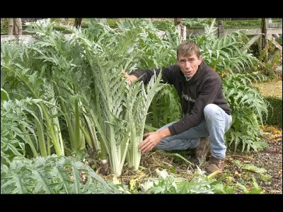 Regardez bien cette plante et un nom devrait vous venir à l'esprit !