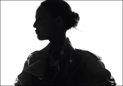 ''Dans le mot je t'aime, Trop de M'' sont des paroles extraites de la chanson ''tandem''. Quelle chanteuse interprète ce titre ?