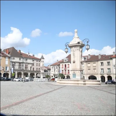 Les habitants de Pont-à-Mousson (en Meurthe et Moselle ) sont les mussipontains