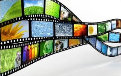 Quand tu dois faire un exposé en groupe, ton rôle, c'est :