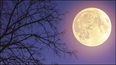 Dans l'album Studio, sorti en 2003, Julien Clerc reprend en langue française de grands standards jazzy américains. Il y chante notamment "Volons vers la lune" (Fly me to the moon) en duo avec... ?