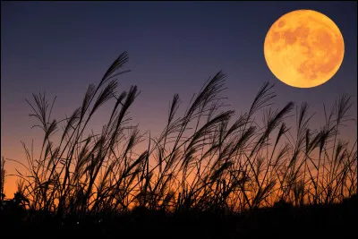 Comment est "la lune des moissons" et de quoi s'agit-il ?