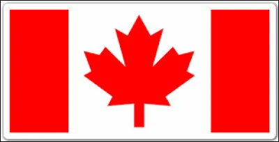 À quel pays appartient ce drapeau ?