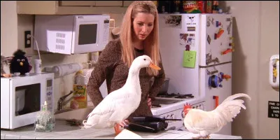 En quoi se "transforme" la poule de Chandler et Joey ?