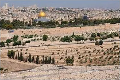 Qui était le premier Premier ministre d'Israël lors de sa création ?