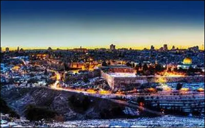 Quelle organisation sioniste a été cruciale dans l'établissement de l'État d'Israël ?