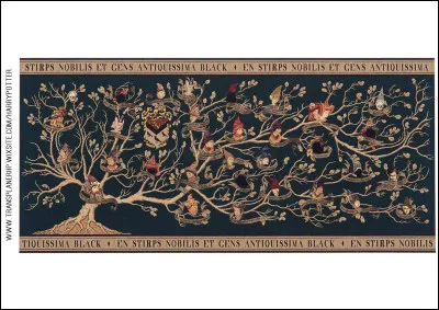 Quel membre de la famille Black a essayé de faire passer une loi au ministère pour autoriser la chasse aux Moldus ?