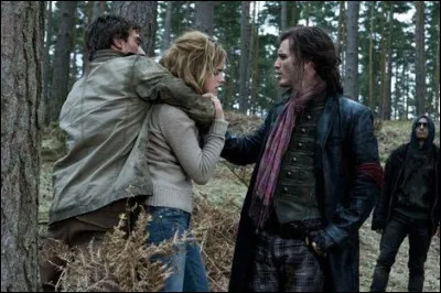 Pour qui Hermione se fait passer lorsque le Golden Trio se fait attraper par des Rafleurs, menés par Greyback ?