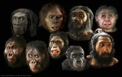 L'Homme descend du singe.