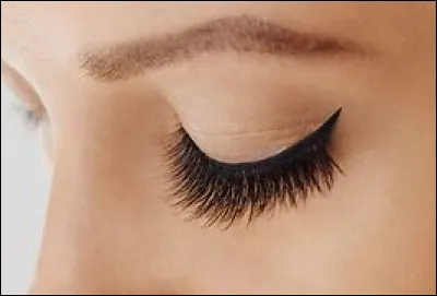 Quels produits utilisons-nous pour les cils ?