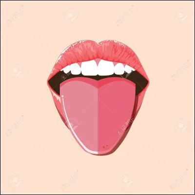 D'après les illustrations, trouvez celle correspondant à l'expression qui se dit d'une personne très bavarde...