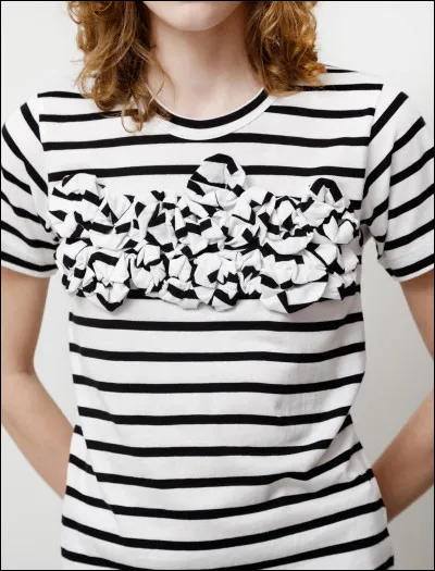 Établi par décret depuis 1858, combien de rayures blanches sont imposées ?