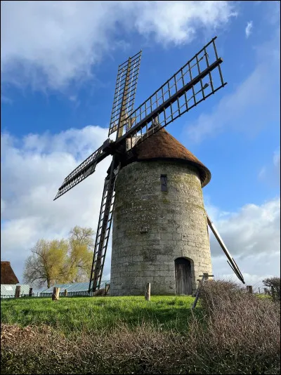 Qui a écrit les "Lettres de mon moulin" ?
