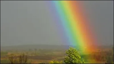 Quelle couleur n'existe pas dans l'arc-en ciel ?