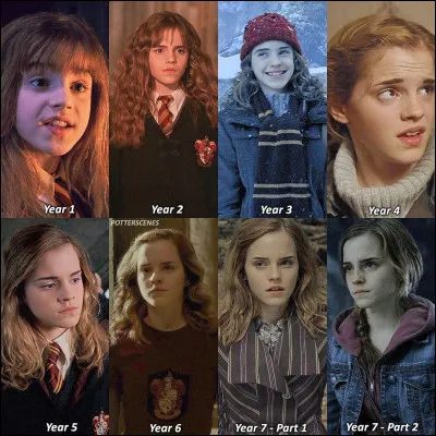 Quel est son Harry Potter préféré ?