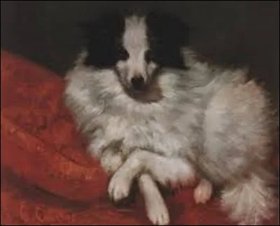 En 1855, quel réaliste a peint ce tableau nommé ''Chien sur un coussin'' ?