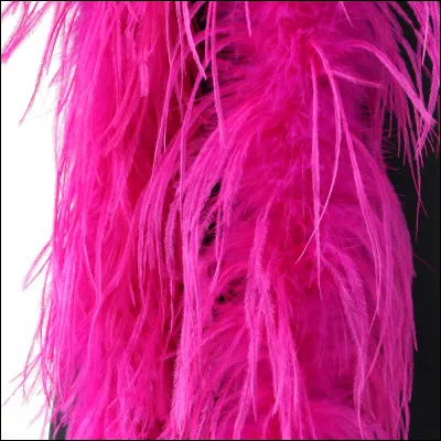 C'est la plus fan des artistes de scène qui sont des fans de boas...