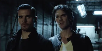 Dans la saison 8, quand Sybil demande à Bonnie de choisir qui garder en vie entre Damon et Enzo, qui Bonnie choisit-elle ?