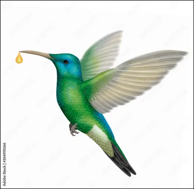 ¿Qué es este animal ?