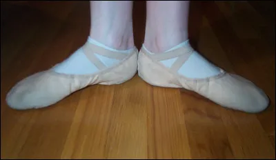 Quel est le nom de ces chaussons de danse ?