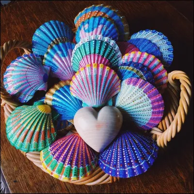 Quel artiste chante "Coquillages" en 2013 ?