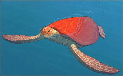 Comment se nomme ce film ?