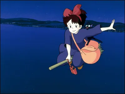 Comment se nomme ce film ?