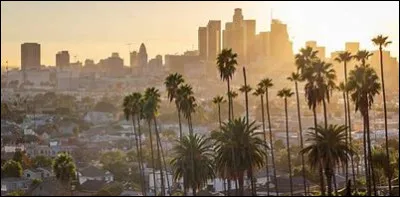 Dans quel quartier de Los Angeles se situent-ils ?
