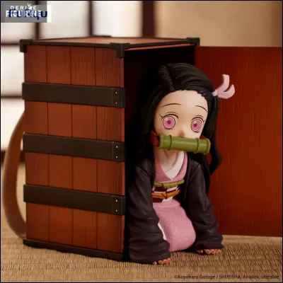 Le jour, dans quoi se déplace Nezuko ?