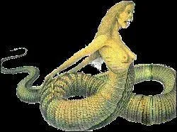 Qui sont les parents d'Echidna ?