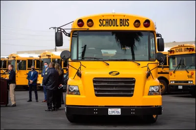 En quelle année a-t-elle eu son grave accident de bus ?