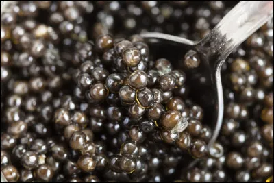 Quel ingrédient de base est pris pour faire le caviar ?