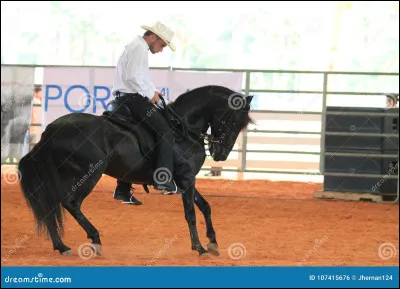 Que faire pour faire accélérer son cheval ?