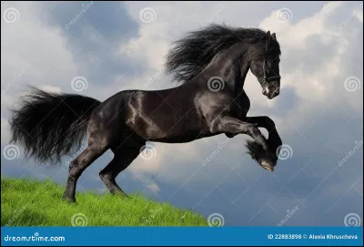 Quand ces disciplines ont-elles été ajoutées au J.O. ?