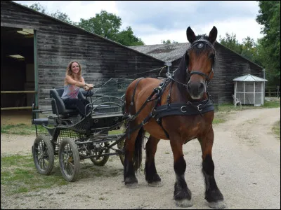 Où se situent les ars et l'inter-ars ?