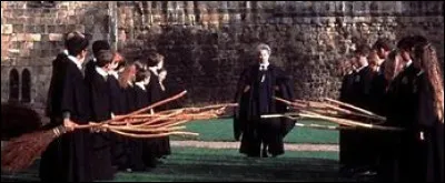 Qu'est-ce que Mme Bibine attend des joueurs au d&eacute;but du premier match de Quidditch de Harry ?