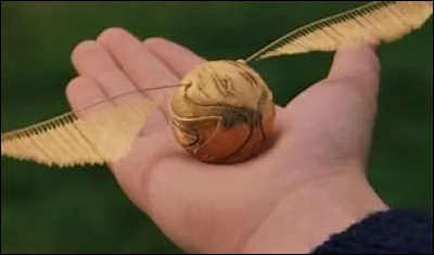 Combien de points vaut le vif d'or ?