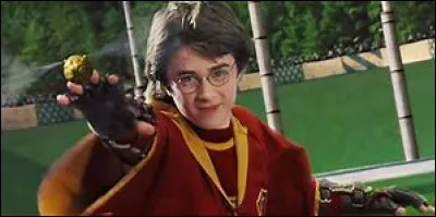 Harry &eacute;tait le plus jeune attrapeur depuis...