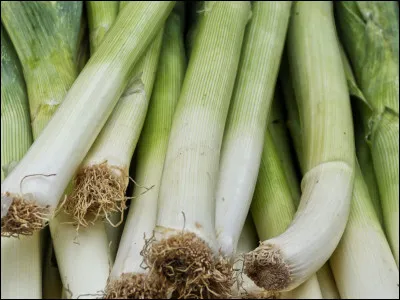 Et finissons avec un légume, comment dit-on ''poireau'' en anglais ?