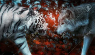 Complétez : S'entendre comme...