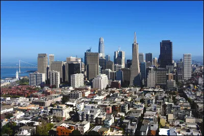 Cette ville de 800 000 habitants, coeur d'une aire urbaine de 8 millions d'habitants, est située sur une péninsule qui sépare l'océan d'une vaste baie :