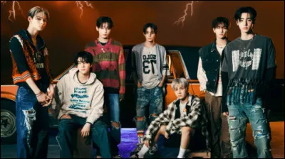 Si tu étais dans un groupe, tu serais...