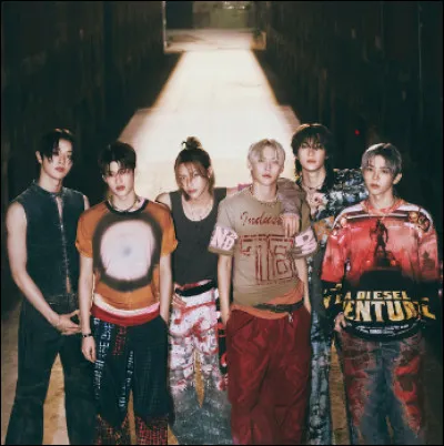 Si tu étais dans un groupe, tu serais...