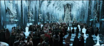 Dans les livres, quelle est la couleur de la robe d'Hermione au bal de Noël ?