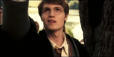 Pour quelle matière la baguette de James Potter était-elle particulièrement douée ?