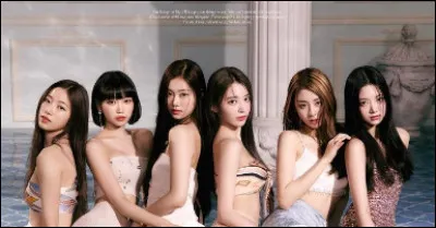 Si tu &eacute;tais dans un groupe, tu serais...