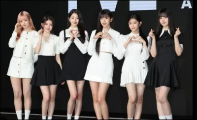 Si tu étais dans un groupe, tu serais...