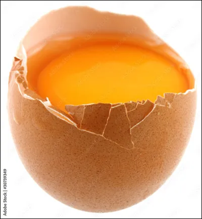 Si vous avez déjà cassé un uf, vous saurez qu'il y a le blanc d'uf mais aussi le...