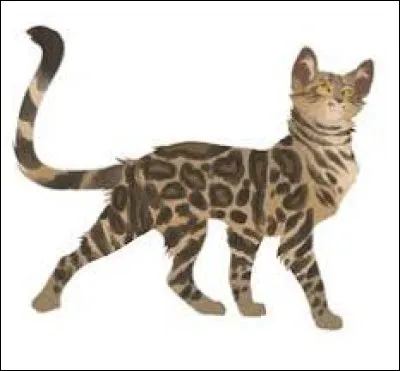 Qui a été l'enfant d'Étoile du Léopard ?